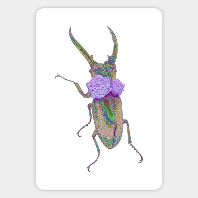 bug Magnet by abdoos